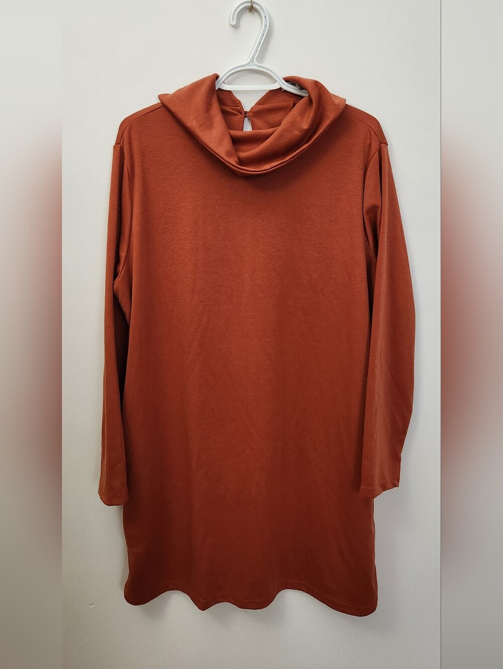SHEIN Rust Orange Long Sleeve Cowl Neck Dress